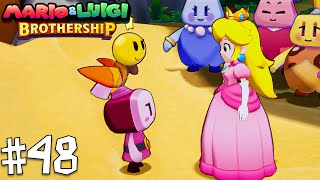 Mario amp Luigi Brothership  A Big Debate Side Quest 48 [upl. by Samuella]