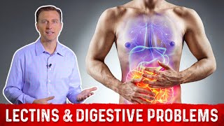 High amp Low Lectin Foods amp Digestive Problems Explained by DrBerg [upl. by Buzzell]