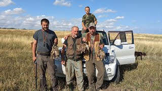 ნადირობა მწყერზე  სეზონის გახსნა  QUAIL HUNTING [upl. by Ahtanoj361]