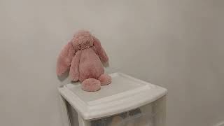 Jellycat Bashful Tulip Pink Bunny Stuffed Animal Review So extremely soft [upl. by Nalla]