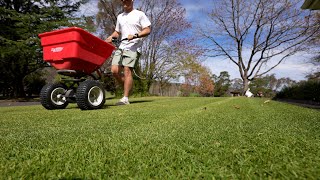 Lawn Renovation Preparation [upl. by Sila]