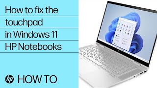 How to fix the touchpad on HP Notebooks running Windows 11  HP Computers  HP  HP Support [upl. by Einnhoj]