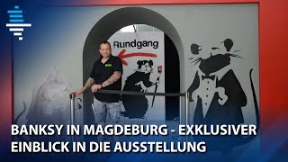 Banksy in Magdeburg Exklusive Ausstellungseinblicke [upl. by Gino]