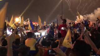 FESTEJO DE TIGRES CAMPEÓN Apertura2016 [upl. by Jammal]