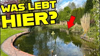 ANGELN AM VERLASSENEN GARTENTEICH 😱😅 KRASSER FANG [upl. by Eyllib]