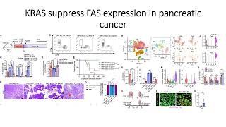 FAS interact with CD8a Tcells amp has inverse relation with KRAS Code 726 [upl. by Ahsoek598]