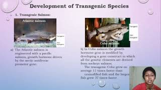 Preeti simoes 4 th year zoology Transgenic fish [upl. by Tedric]