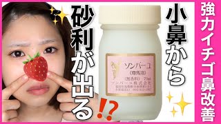 【※イチゴ鼻撃退】溜まった角栓ごっそり⁉️本当は教えたくない毛穴ケア🐴✨【馬油】 [upl. by Eetsud]