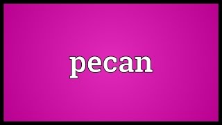 Pecan Meaning [upl. by Ennasil65]