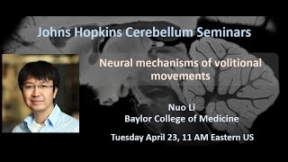 Nuo Li Neural mechanisms of volitional movement [upl. by Ttoille]