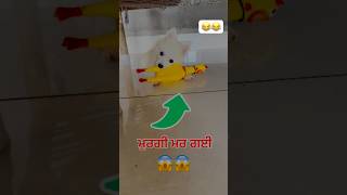 😂 ਮੁਰਗੀ ਮਰ ਗਈ 😂 [upl. by Armilla]