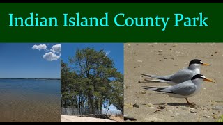 An Island of Piney Paradise Indian Island County Park [upl. by Ennairam]