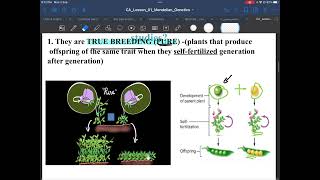 Mendelian genetics  grade 1112 adv lesson 1 1 [upl. by Dumah]