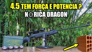 CARABINA NORICA 45 TEM POTÊNCIA TESTES 10 A 40 METROS  NORICA DRAGON TAG [upl. by Tirrag27]