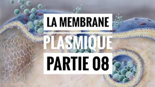 Roles de la membrane plasmique partie 03 [upl. by Riplex380]