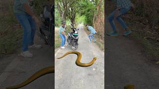 Naag Nagin Ne Pichla Badla Liya 🐍 Ep 1 shorts ytshorts viral naagin naag [upl. by Travis]