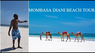 Mombasa City  Diani Beach  Paradise Place to Visit in South Coast Kenya 🇰🇪🏖 [upl. by Vharat]