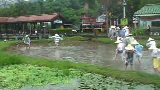 2010臺北動物園春耕美人腿Farming for Eco Learning [upl. by Leugimsiul]