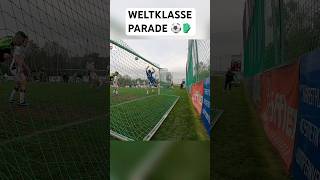 Kreisliga Katze hält seinen Kasten sauber ⚽️🔥 videobeweis fußball football keeper safe show [upl. by Ellahcim]