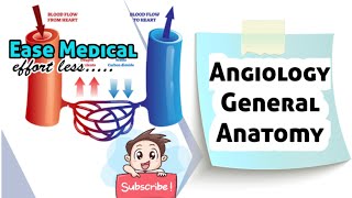 Angiology General Antomy Medical videos Ease Medical Easemedical [upl. by Montano551]