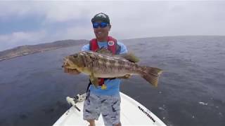 This is what its all about  Calico Bass fishing  La Jolla  Point Loma [upl. by Longan535]