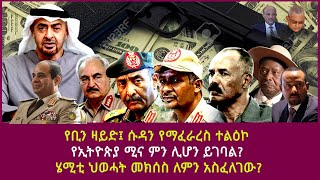 የቢን ዛይድ፤ ሱዳን የማፈራረስ ተልዕኮየኢትዮጵያ ሚና ምን ሊሆን ይገባል ሄሚቲ ህወሓት መክሰስ ለምን አስፈለገው bin ZayedUSAEthiopia [upl. by Callan]