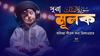 অত্যন্ত সুরেলা মধুর কণ্ঠে সূরা মুলক এর তেলাওয়াত l Surah Mulk l Recited By Shamsul Hoqe [upl. by Aleda627]