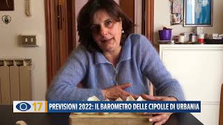 Previsioni 2022 il barometro delle cipolle di Urbania [upl. by Mirilla]