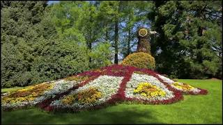 Mainau island Germany the island of flowers is in top 10 places to visit [upl. by Nohtanhoj]