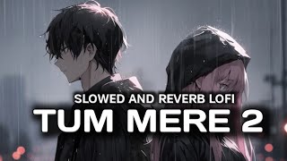 Tum mere 2 slowed and reverb song  triggered Insaan  fukra Insaan [upl. by Graybill]