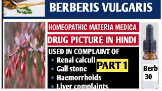 Berberis vulgaris homeopathic medicinehomeopathic materia Medica Berberis vulgaris 30 200 Part 1 [upl. by Gyasi]