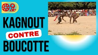 KAGNOUT contre BOUCOTTE DIÉMBÉRING [upl. by Kresic]