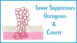 Protooncogene Oncogene and Tumor Suppressor Gene II Cancer Biology [upl. by Epuladaugairam]