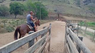 LAÇO CAMPISTA TREINO SÃO FIDÉLIS RJ [upl. by Newby359]