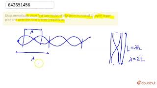 Diagrammatically show first two modes of vibrations in case of an open organ pipe and write the [upl. by Ahiel817]