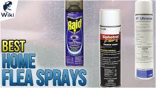 10 Best Home Flea Sprays 2018 [upl. by Yelra267]