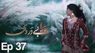 Piya Be Dardi  Episode 37  A Plus [upl. by Ednihek]