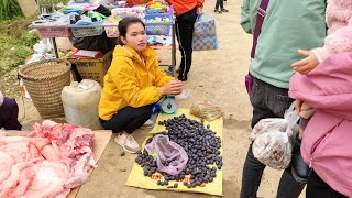 Harvesting Palm Fruits Papaya Flowers Going to Market  Perennial palm tree  Trieu Thi Thuy [upl. by Areyk]