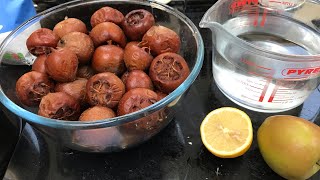 MEDLARS  Making Medlar jelly from my own home grown fruits for the first time ever [upl. by Goddard]