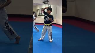 Art Martial taekwondo pyfツ shortvideo parataekwondo [upl. by Hallerson]