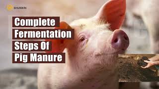 Video of how to make pig manure compost [upl. by Atnahs]