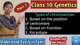 Types of Chromosomes based on the position of centromere and based on the function Karyotype [upl. by Aliam]