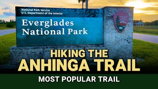 Hiking in Everglades National Park  Anhinga Trail at Royal Palm  Most Popular Trail in the Park [upl. by Rozalin]