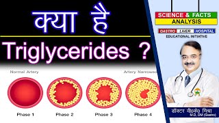 क्या है TRIGLYCERIDES   UNDERSTANDING TRIGLYCERIDES [upl. by Petta]