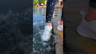 The Best Waterproof Shoes for Every Occasion 2024 [upl. by Lacym]