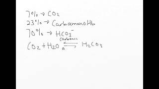 Chloride Shift explained [upl. by Faro]