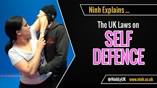 UK Laws on Self Defence Self Defense  EXPLAINED [upl. by Aserahs]