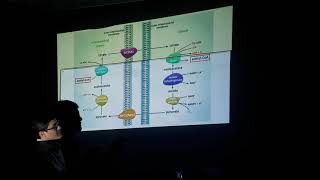 Biosintesis de Acidos Grasos y Eicosanoides Parte1 [upl. by Maison]