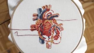 Cross stitch heart time lapse ° stitching of an anatomic embroidery design [upl. by Knowland]