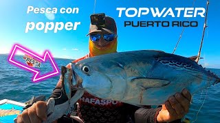 Top water fishing  Popper en acción  Tuna  bonito  Coliburia Sama [upl. by Onida]